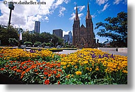 images/Australia/Sydney/StMarysCathedral/church-n-flowers-4.jpg