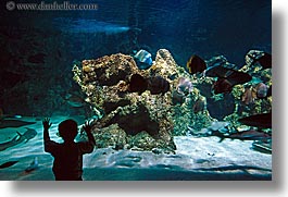 images/Australia/Sydney/TarongaZoo/child-sil-aquarium.jpg