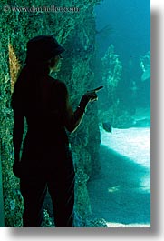 images/Australia/Sydney/TarongaZoo/jil-silhouette-aquarium-3.jpg