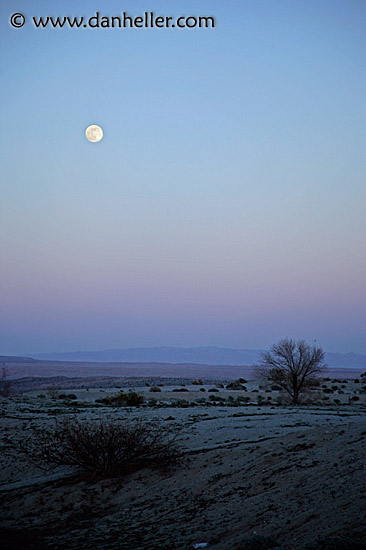 borrego-moon-3.jpg