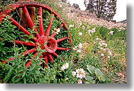 images/California/Bridgeport/stage-coach-wheels-n-flowers-3.jpg