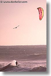 images/California/CalCoast/HalfMoonBay/para-surfer-2.jpg