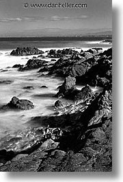 black and white, cal coast, california, california coast, monterey, seashore, vertical, west coast, western usa, photograph