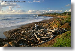 images/California/Cambria/dead-branches-on-beach.jpg