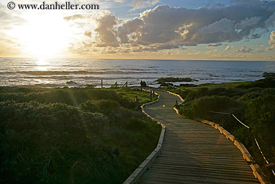 wood-plank-path-to-ocean-1.jpg