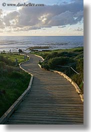 images/California/Cambria/wood-plank-path-to-ocean-2.jpg