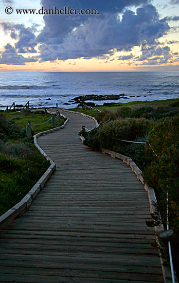 wood-plank-path-to-ocean-3.jpg