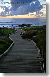 images/California/Cambria/wood-plank-path-to-ocean-3.jpg