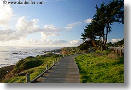 images/California/Cambria/wood-plank-path-to-ocean-4.jpg