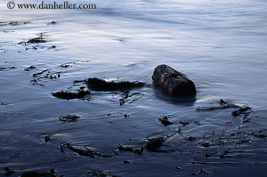 log-on-beach.jpg