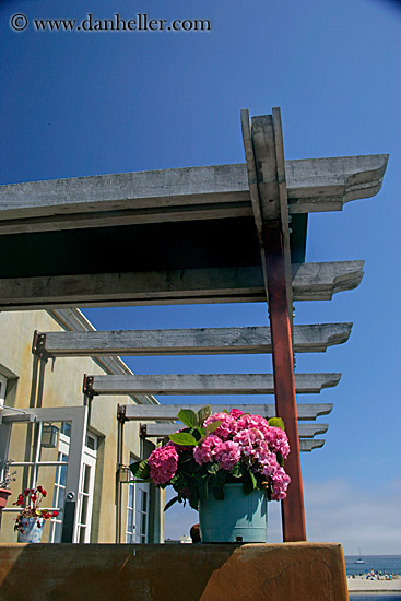 flowers-n-awning.jpg