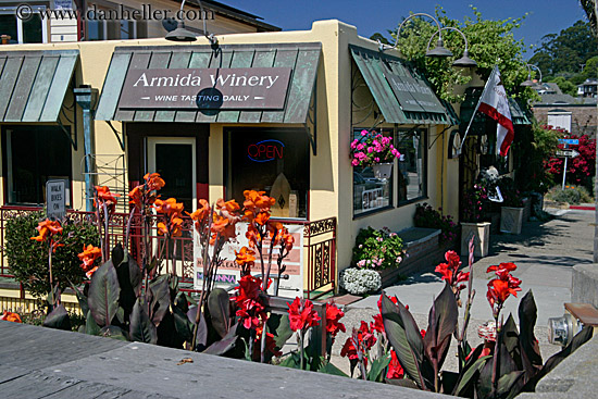 flowers-n-winery.jpg