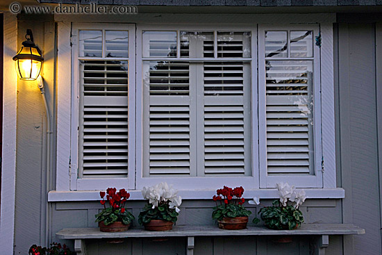 window-shutters-n-flowers.jpg