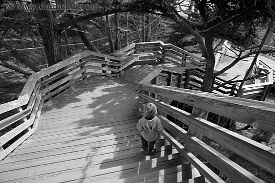 jack-on-stairs-bw.jpg