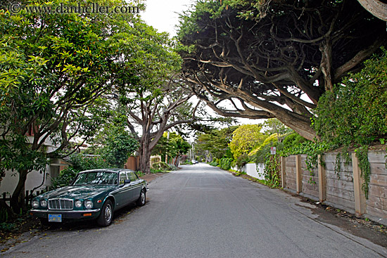 car-n-tree-tunnel-02.jpg