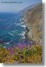 images/California/CoastalViews/Coastline/flowers-n-cliffs-01.jpg