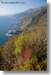 images/California/CoastalViews/Coastline/flowers-n-cliffs-02.jpg