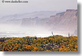 images/California/CoastalViews/Coastline/flowers-n-cliffs-03.jpg
