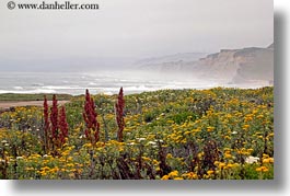images/California/CoastalViews/Coastline/flowers-n-cliffs-04.jpg