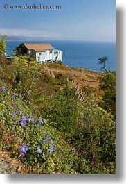 images/California/CoastalViews/Coastline/purple-morning-glories-n-shack-n-ocean.jpg