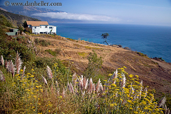 weeds-n-shack-n-ocean-view.jpg