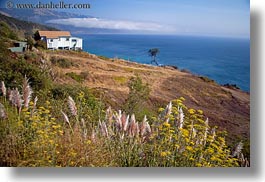 images/California/CoastalViews/Coastline/weeds-n-shack-n-ocean-view.jpg