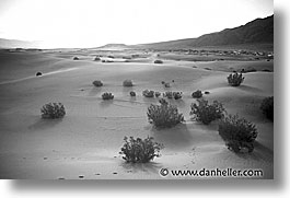 images/California/DeathValley/Dunes/desert-bw.jpg