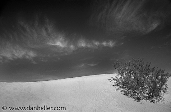 dv-dunes-01-bw.jpg