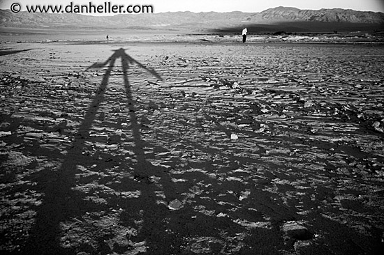 hb-shadows-bw.jpg