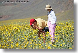 images/California/DeathValley/Wildflowers/People/dv-wildflowers-ppl-11.jpg