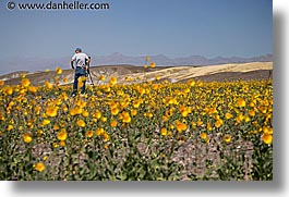 images/California/DeathValley/Wildflowers/People/dv-wildflowers-ppl-13.jpg