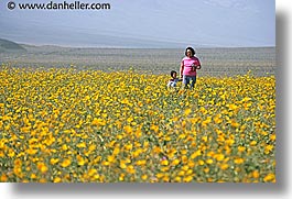 images/California/DeathValley/Wildflowers/People/dv-wildflowers-ppl-1a.jpg