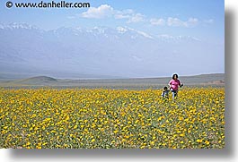 images/California/DeathValley/Wildflowers/People/dv-wildflowers-ppl-1b.jpg