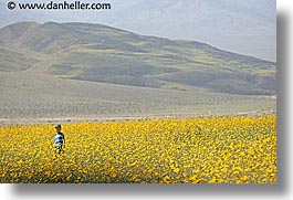images/California/DeathValley/Wildflowers/People/dv-wildflowers-ppl-2.jpg