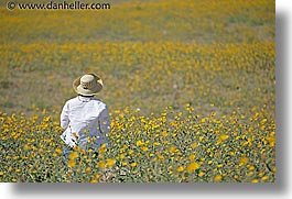 images/California/DeathValley/Wildflowers/People/dv-wildflowers-ppl-3.jpg