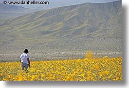 images/California/DeathValley/Wildflowers/People/dv-wildflowers-ppl-6b.jpg