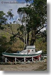 images/California/Gorda/boat-n-tree-01.jpg
