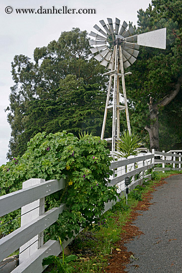 windmill-n-white-fence-w-ivy.jpg