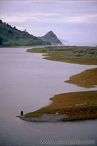 coastal-beach.jpg