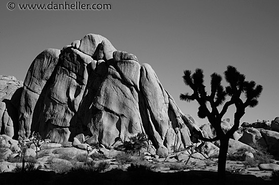 joshua-rocks-5-bw.jpg