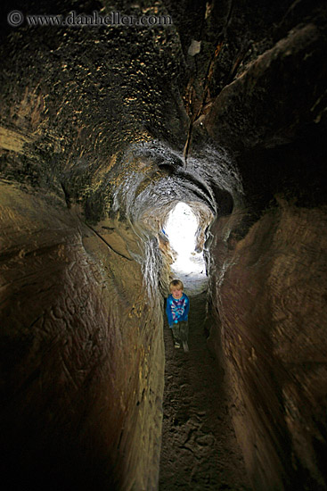 hollow-sequoia-tree-5.jpg