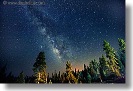 images/California/KingsCanyon/Stars/milky_way-galaxy-n-trees-1.jpg