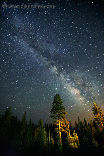 milky_way-galaxy-n-trees-2.jpg