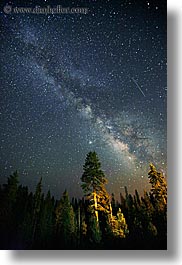 images/California/KingsCanyon/Stars/milky_way-galaxy-n-trees-2.jpg