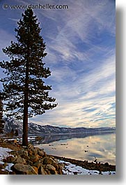 images/California/LakeTahoe/Dusk/lake-snow-trees-1.jpg