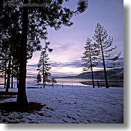images/California/LakeTahoe/Dusk/lake-snow-trees-2.jpg