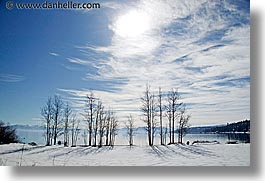 images/California/LakeTahoe/Scenics/bare-trees-snow-lake.jpg