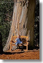 images/California/Marin/DiscoveryMuseum/jack-bench-tree-1.jpg