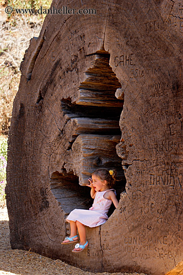 toddler-playing-in-log-1.jpg