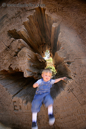 toddler-playing-in-log-2.jpg